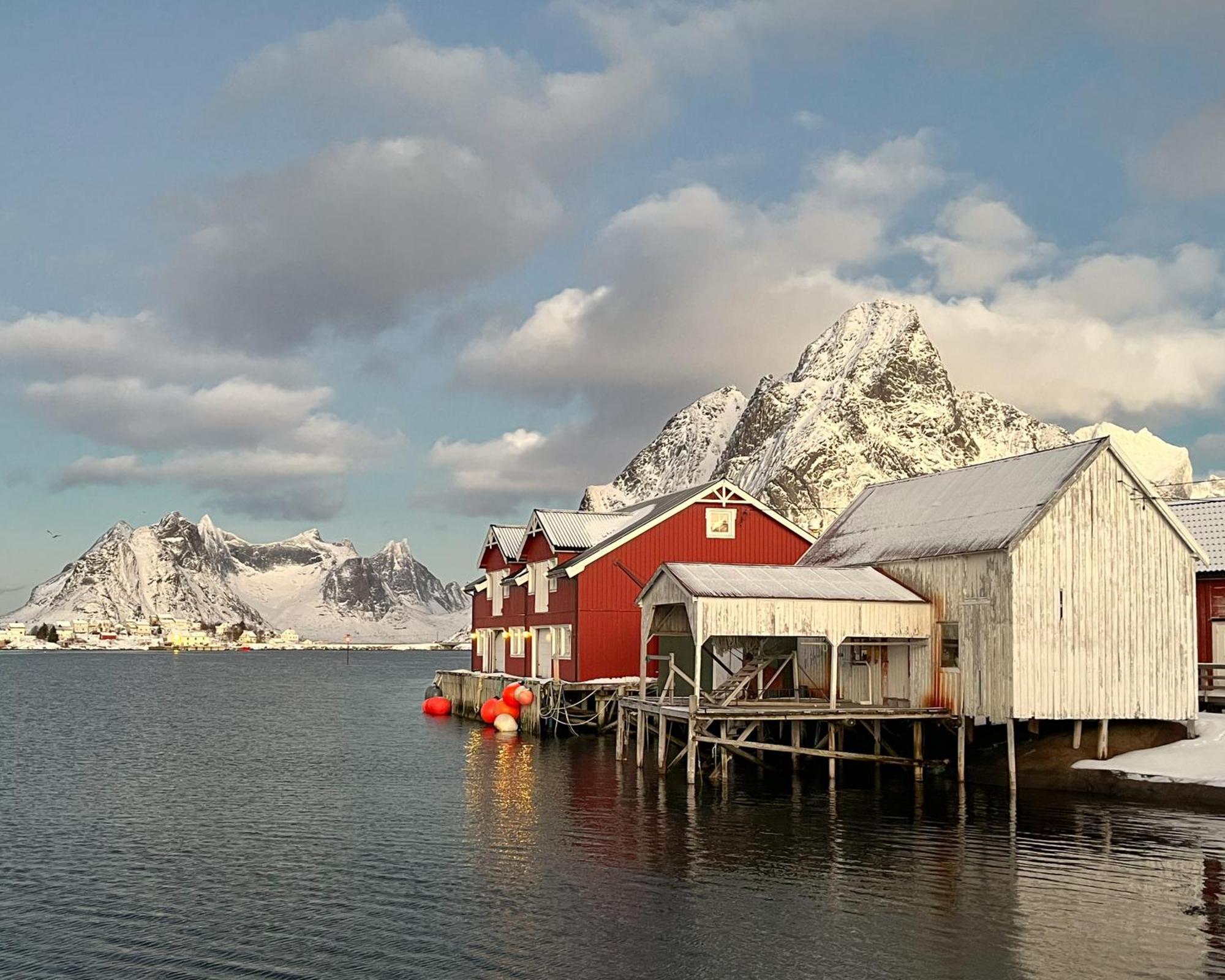 Husly Reine - Your Home With Reinebringen View Eksteriør bilde
